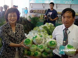 臺(tái)灣云林縣長被檢方拘提 疑似涉及收賄500萬元